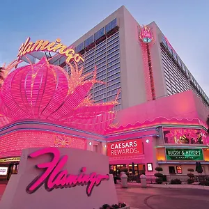 Flamingo Vegas & Casino USA
